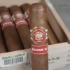 HABANOS H. UPMANN MAGNUM 54 X UNIDAD