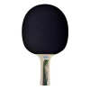 PALETA DE PING PONG DONIC SCHILDKROT
