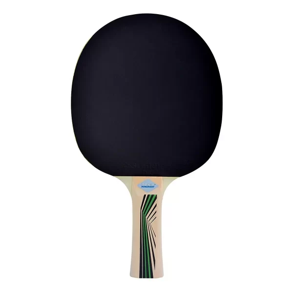 PALETA DE PING PONG DONIC SCHILDKROT