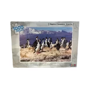ROMPECABEZAS PINGÜINOS PATAGÓNICOS X 1000 PIEZAS (FAYDI)